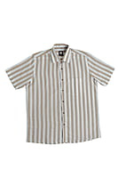 Brown and White striped shirt