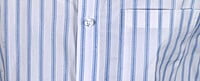 Blue Striped Shirt