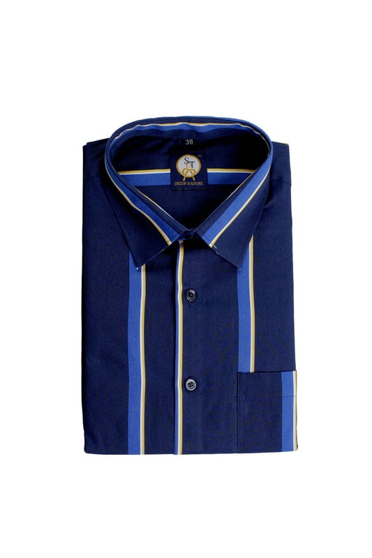 Blue Striped Shirts